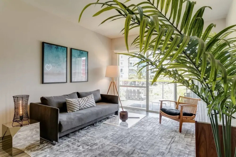 Junior Suite — Single Bed