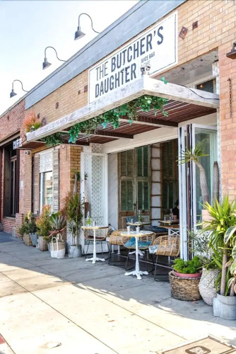 Junior Suite — Single Bed